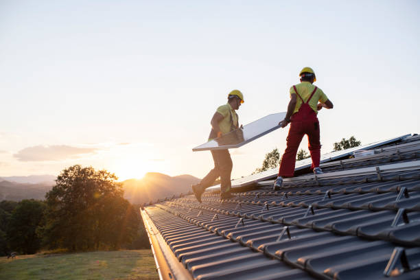 Best Roof Maintenance and Cleaning  in Delft Colony, CA