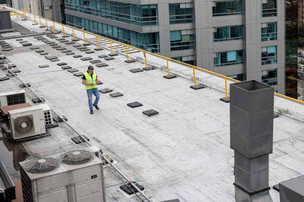 Best Steel Roofing  in Delft Colony, CA