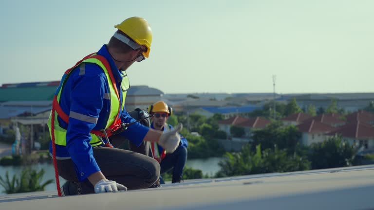 Best Roof Ventilation Installation  in Delft Colony, CA